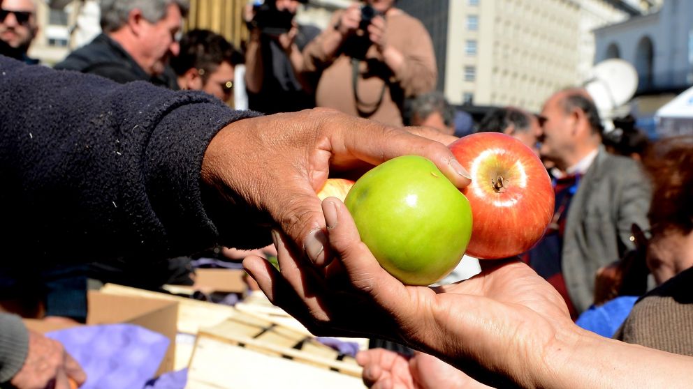 Pymes agropecuarias, con deudas comerciales e impositivas