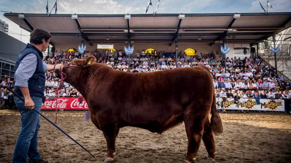 La Expo Rural finalizó con una multitudinaria convocatoria