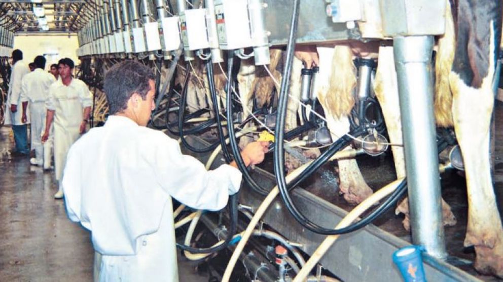 La devaluación y la abrupta suba de costos colocó a los tambos casi en quebranto