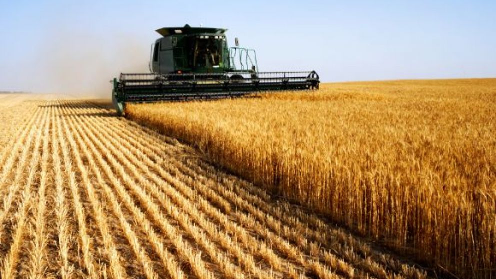 Trigo, soja y ma�z: c�mo avanza la campa�a agr�cola en Argentina