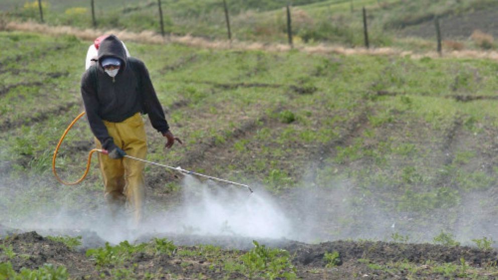 Las fumigaciones deberán ahora estar más observadas y tendrán multas fuertes