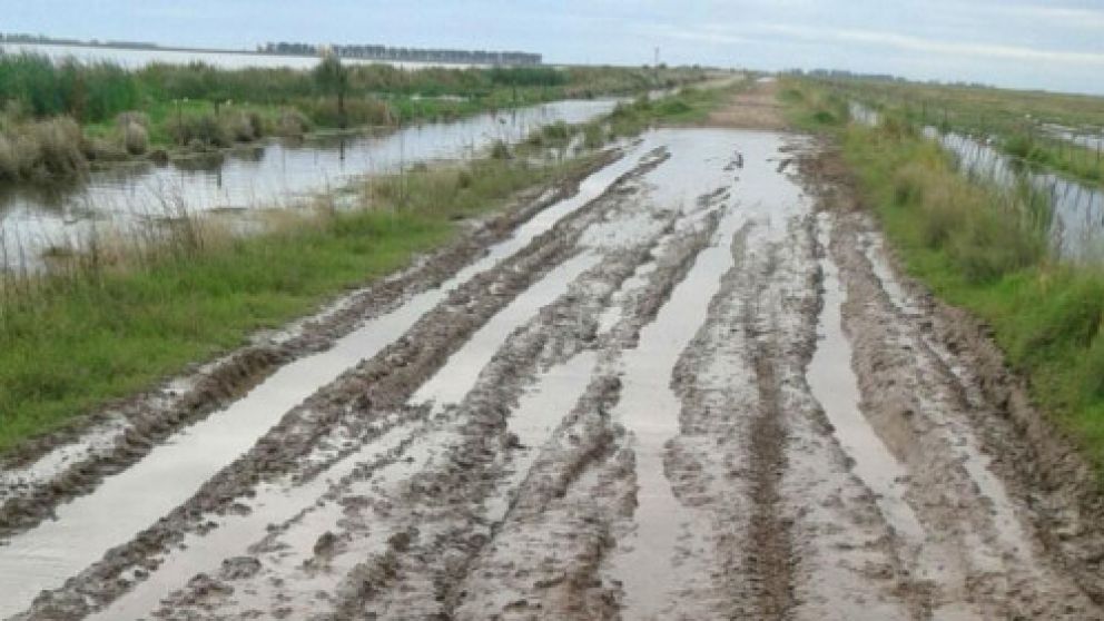 La falta de caminos impide el ingreso de las máquinas al campo