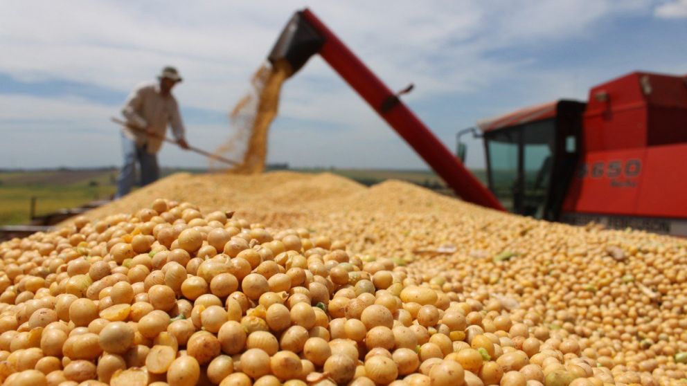 Leve baja en la liquidaci�n de agroexportadores