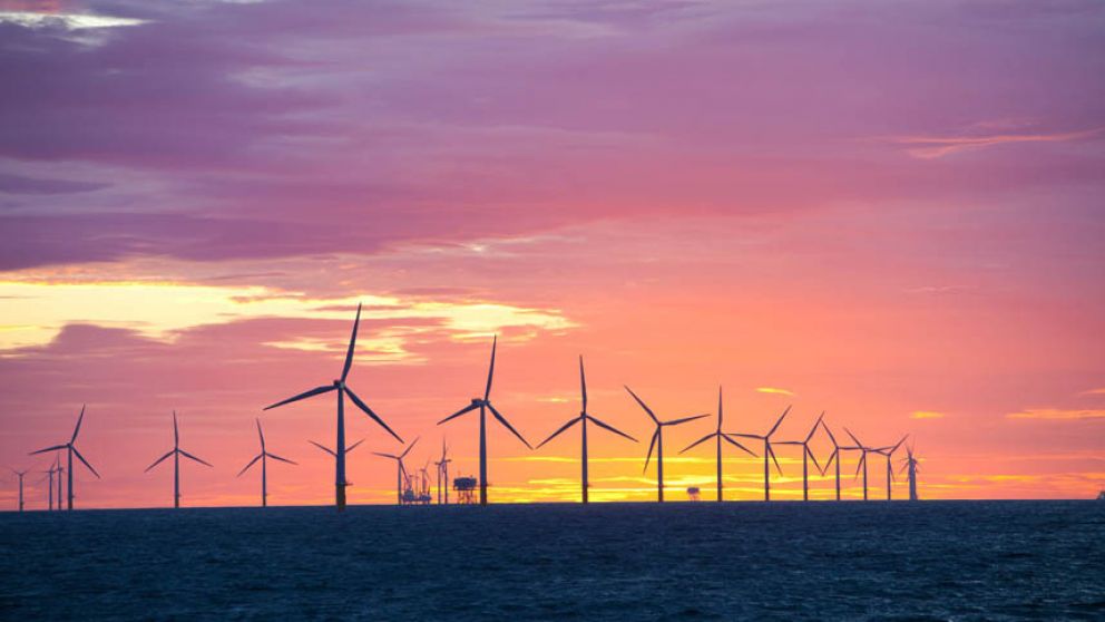 Bono verde de La Rioja es reconocido en el exterior