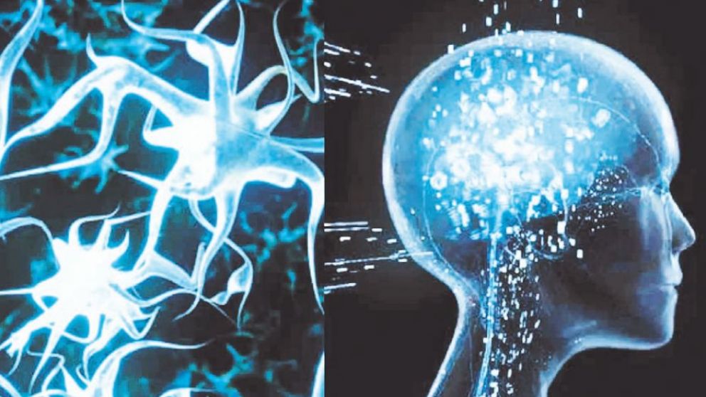 Cerebro e inteligencia artificial