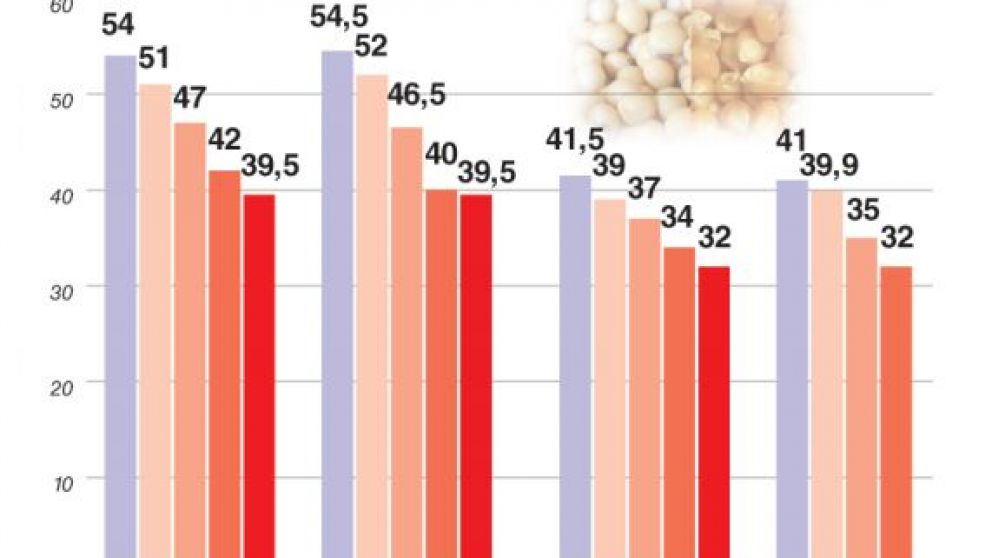 La sequía se instala en el norte y las cosechas de soja y maíz serán un 25% menores