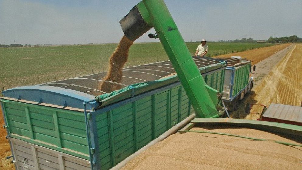 Misiones, La Rioja y San Juan, las que más incrementaron sus exportaciones en 2017