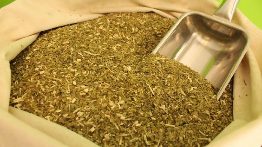 Sin acuerdo en el INYM, el precio de la materia prima de yerba lo decidirá la Nación