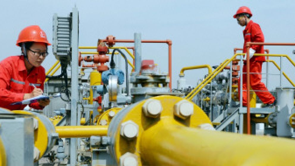 La empresa china buscar� ofrecer una participaci�n del 50% en todos sus proyectos