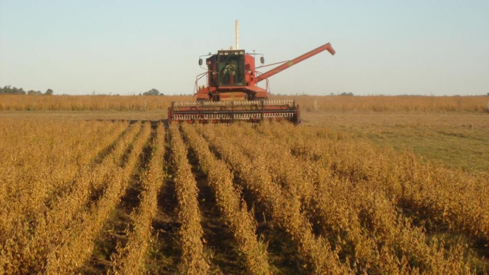 Productores bonaerenses se reúnen hoy para discutir el aumento del 50%