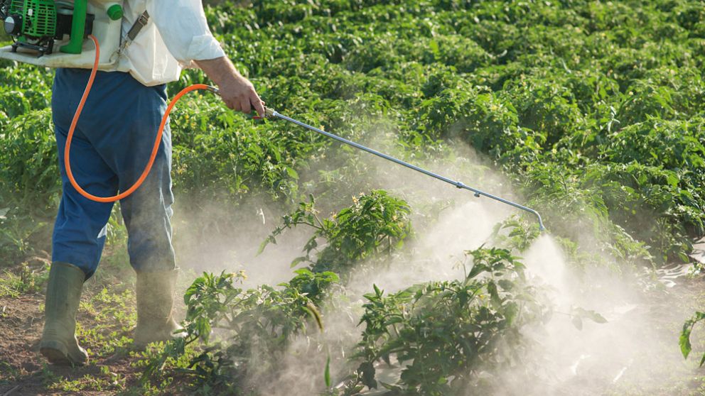 Mendoza avanza con una ley para agroquímicos