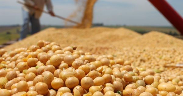 USD 1.000 M del FMI y aumento de divisas del agro en mayo