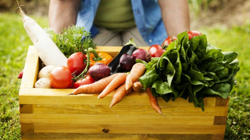 Alimentación orgánica: una tendencia en ascenso