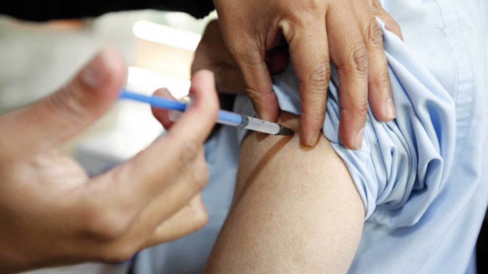 Hasta mil personas por día se vacunan contra la fiebre amarilla