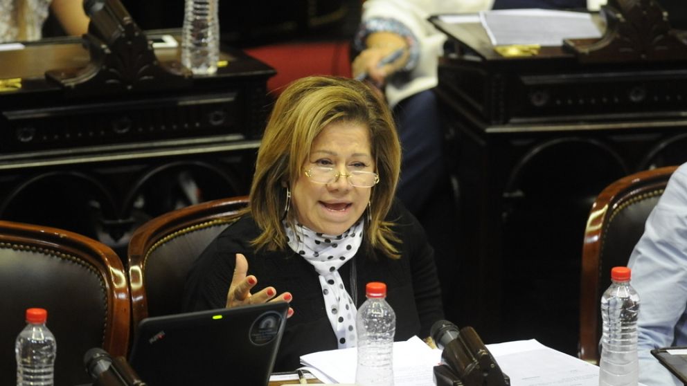 Camaño aseguró que votarán en contra y solo ingresarán al recinto si hay quorum