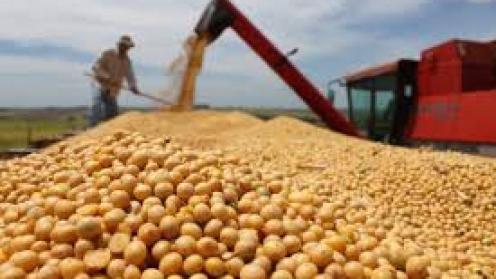 Cay� la liquidaci�n de agroexportadores