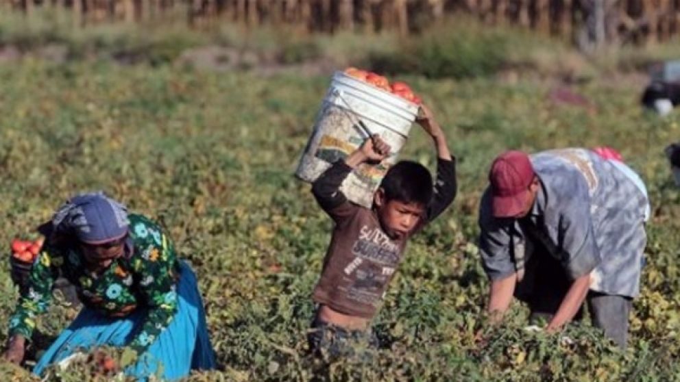 El jefe de la OIT visitará Argentina para participar en la cumbre sobre el trabajo infantil