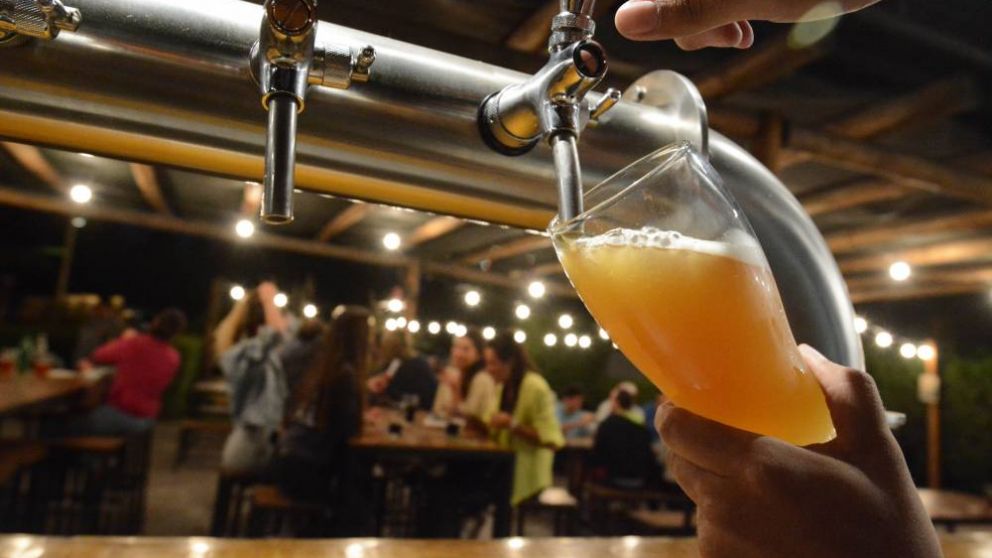 Investigadores logran mejorar la calidad de la cebada cervecera