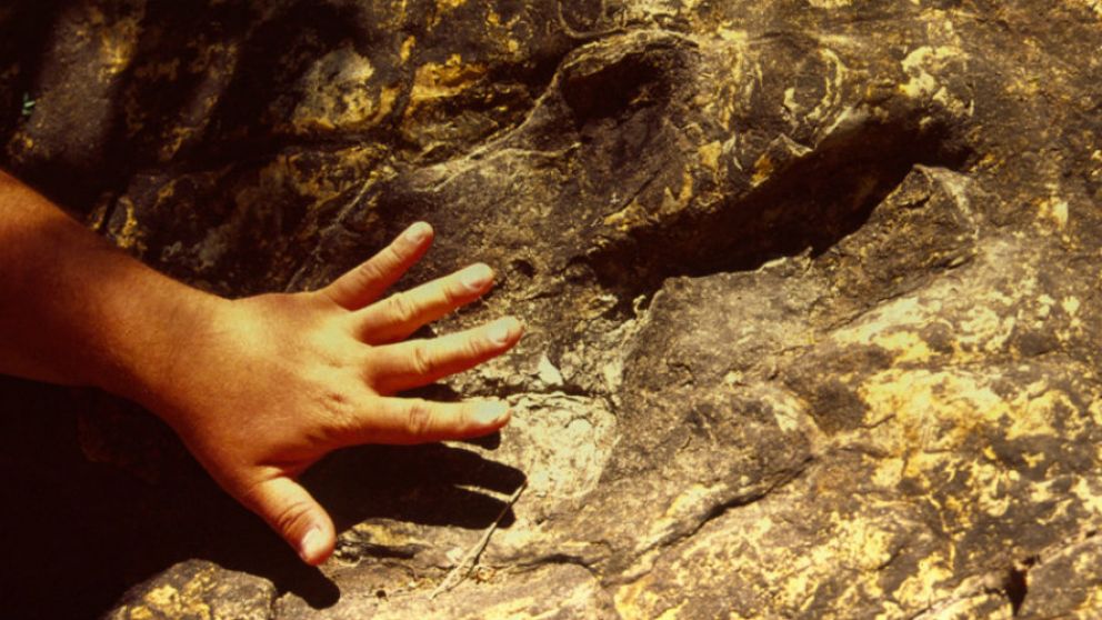 Encontraron huellas de dinosaurios del Cretácico en la Quebrada de Humahuaca