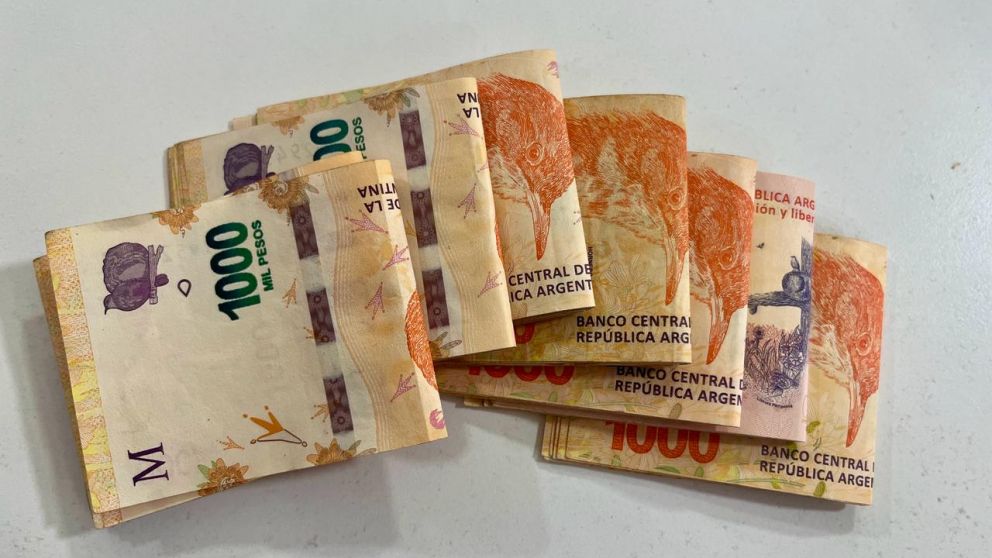 ¿Cómo solicitar la asistencia de la Anses?