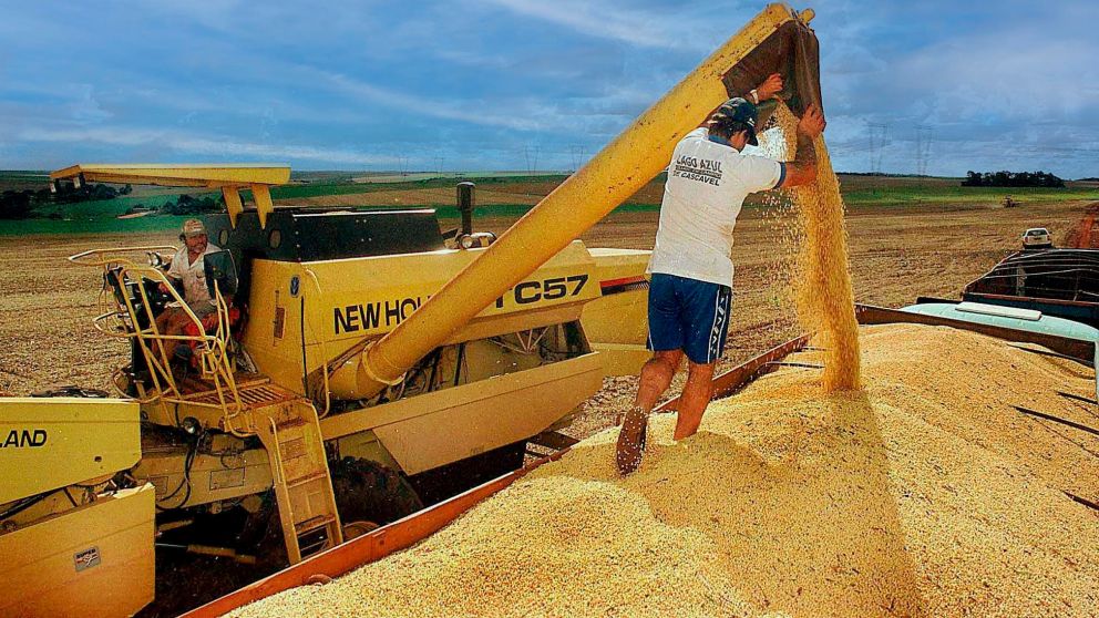 Contraste en el agro: más granos no serán mas divisas