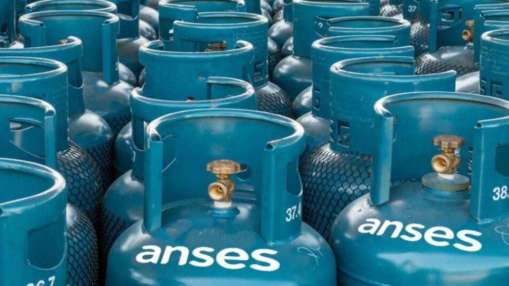 El gobierno de Milei le puso fin al Programa Hogar