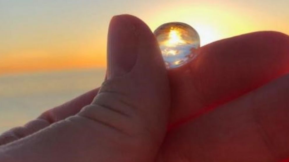 Alerta por mini medusas "burbuja" en la Costa
