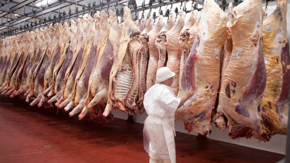 La cuota fijada para Argentina se ubica en torno de los vol�menes actualmente exportados y funciona como un techo al crecimiento de env�os