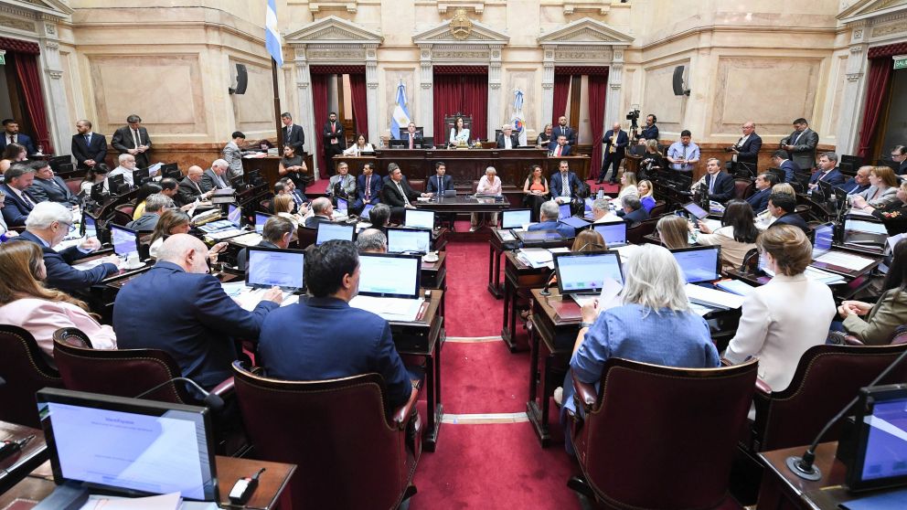 El Senado aprobó en general el Presupuesto 2026.