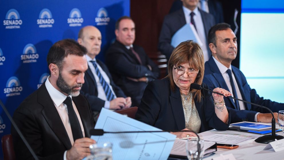 Patricia Bullrich presidió el plenario de comisiones del Senado.