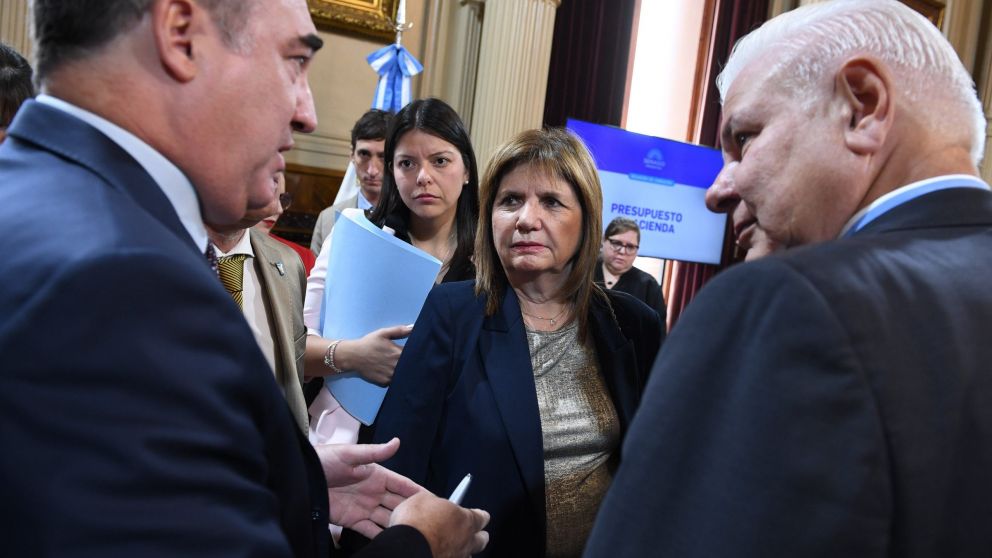 Patricia Bullrich fue una de las arquitectas de las negociaciones entre los senadores en el Congreso