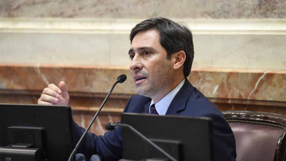 Goerling adelantó que el PRO apoyará "todas las reformas"