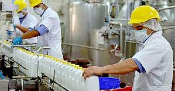 Producción láctea en Argentina alcanza máximos en 10 años