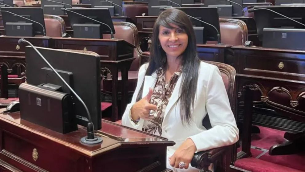 Su asunci�n se vio frustrada por una impugnaci�n presentada por el peronismo.
