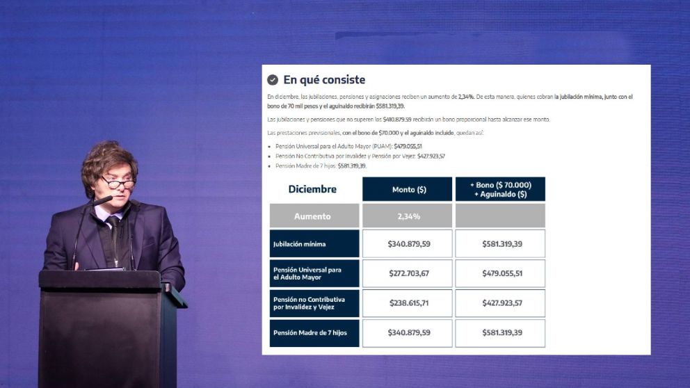 El cuadro publicado en la página oficial de Anses que explica el pago para jubilados