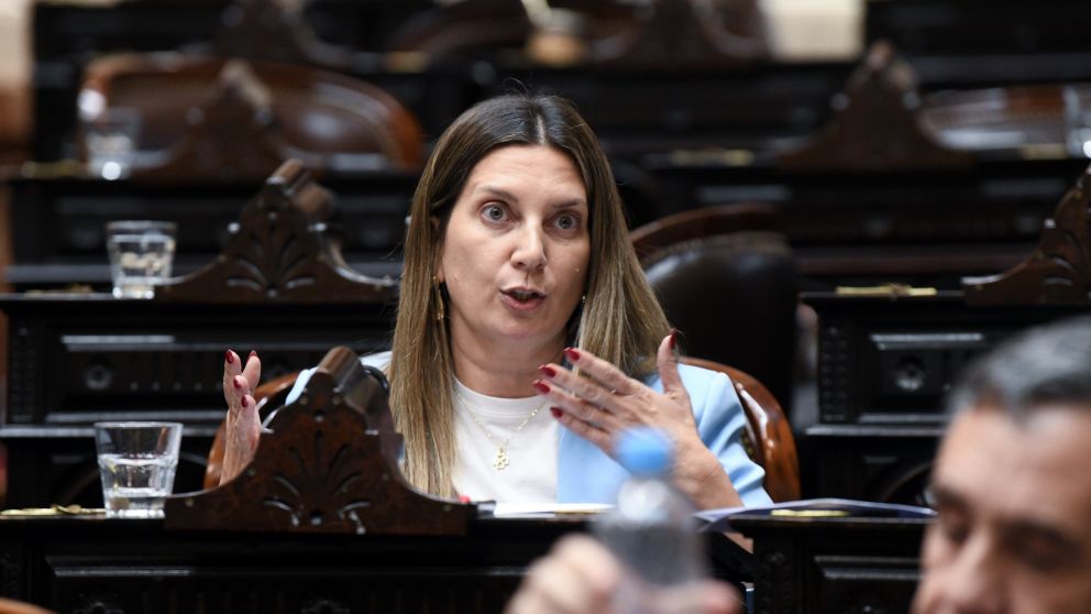 Quién es la sucesora de Silvia Lospennato en la Cámara de Diputados, según la Ley de Paridad de Género