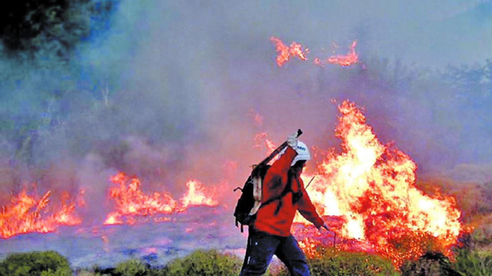 "El desastre ambiental es tremendo"
