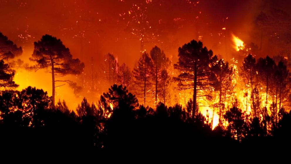 Por los incendios, Chile activó el Estado de Emergencia.