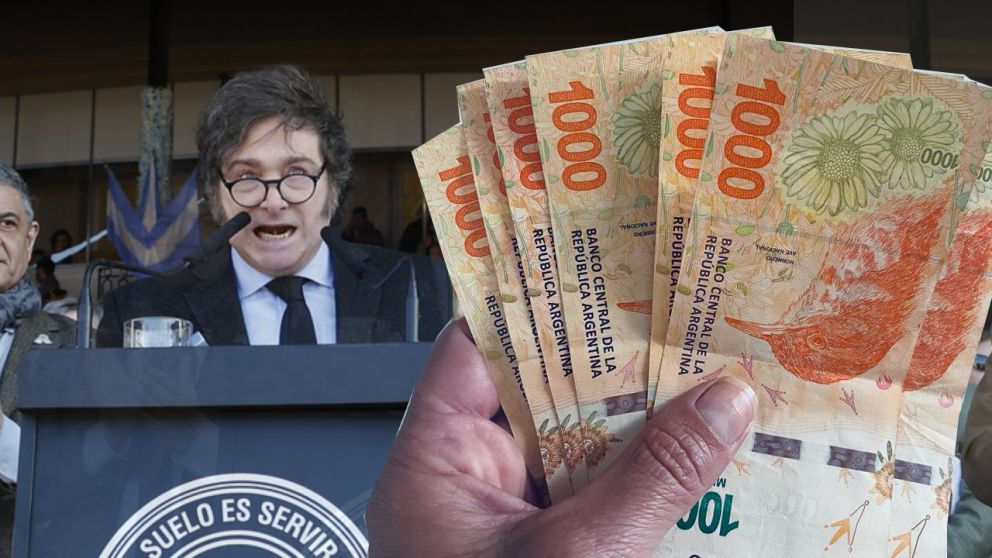 El monto que analiza Anses para entregar a los jubilados en febrero