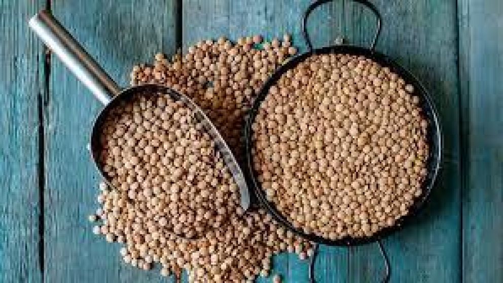 Ritual de febrero con lentejas: el secreto del Feng Shui para activar la abundancia en el hogar