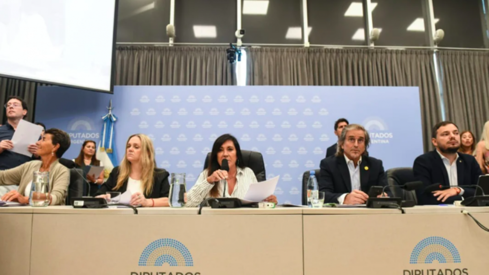 Con la comisión aprobada, ahora el proyecto se someterá a votación el jueves a las 11 horas