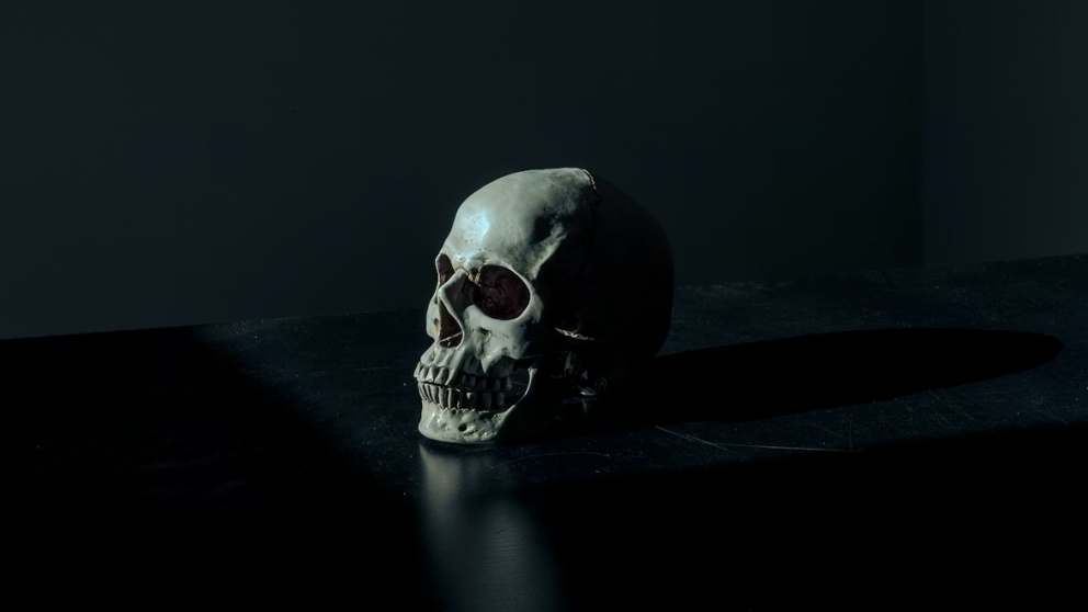 ¿La muerte podría ser reversible? Esto descubrió una científica de EEUU