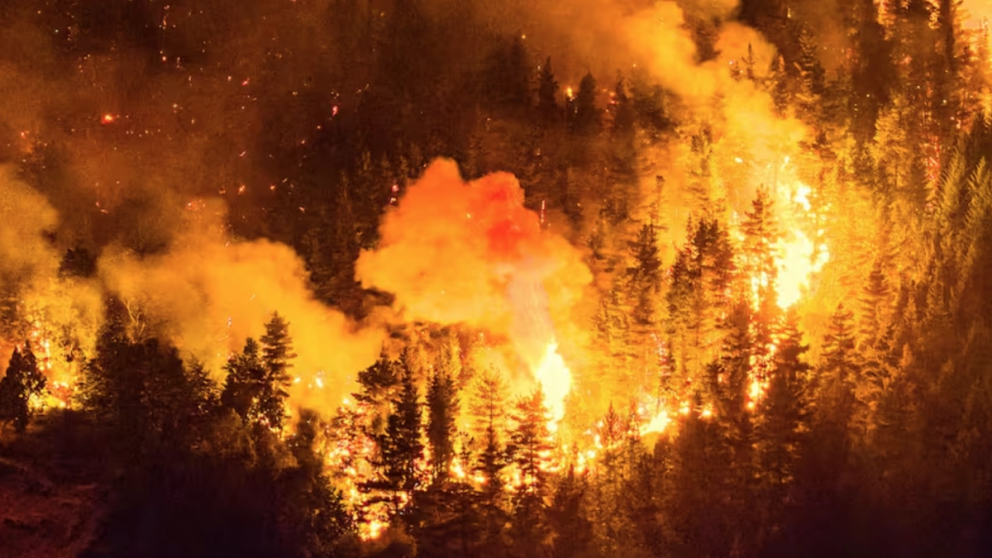 Incendio en Los Alerces: detectaron dos nuevos focos en Chubut