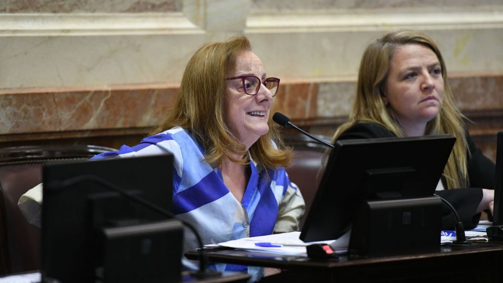 Alicia Kirchner durante su intervención en el Senado, donde cuestionó la reforma de la Ley de Glaciares y defendió la soberanía hídrica.