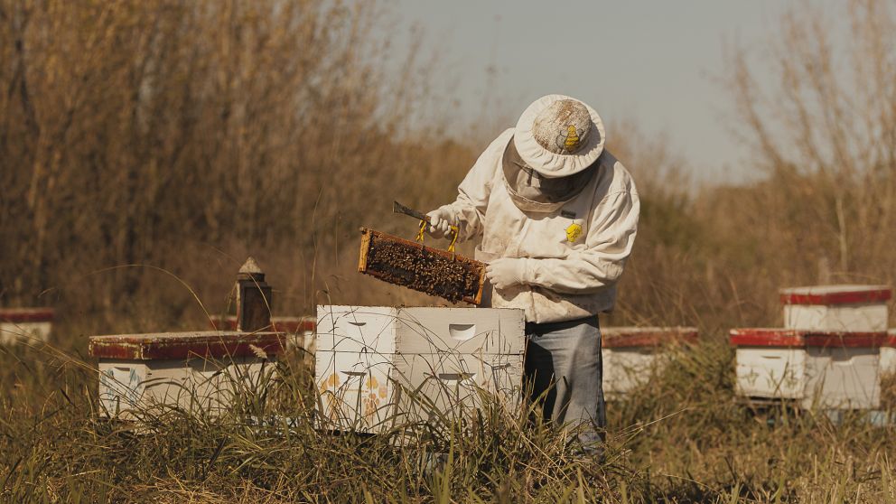 Aprueban préstamos de organismos internacionales por USD 90 millones