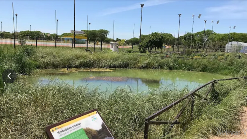 Paseos gratuitos en la Ciudad: un oasis educativo y natural, a 20 minutos del Obelisco