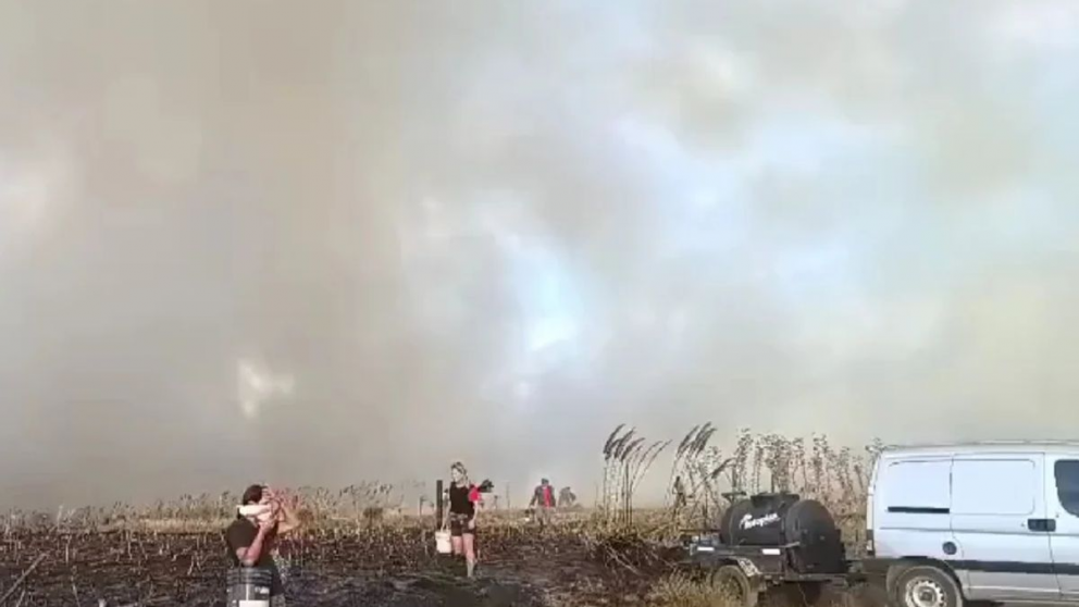 Incendios forestales en Mar del Plata arrasaron más de 200 hectáreas