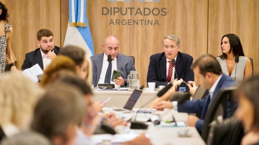 La oposición sostuvo que corresponde aplicar "estándares particularmente exigentes de deliberación pública" por la sensibilidad del tema