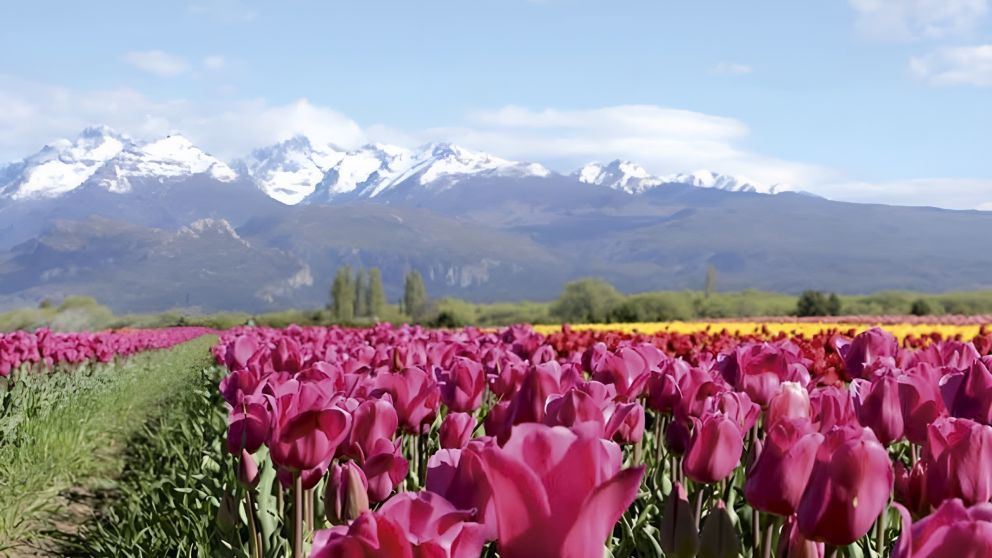 Best Tourism Village 2026: Argentina seleccionará 8 pueblos para competir entre los más lindos del mundo
