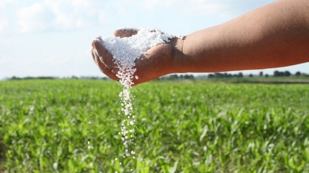 Urea granulada